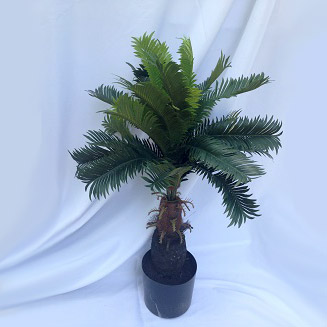 Cycas Palm 3ft - Artificial Trees/Floor Plants - Minature palm trees